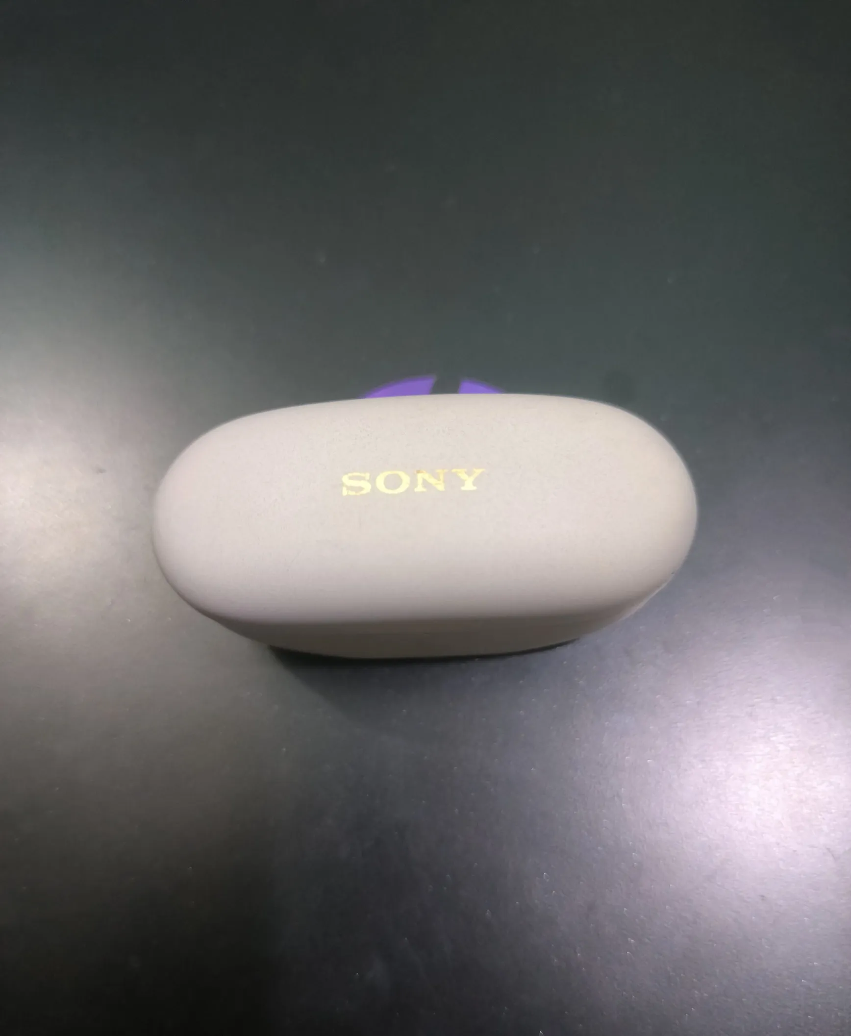 Buy used Sony WF-1000XM5 Charging Case Only, Pre-owned online on Resellpur