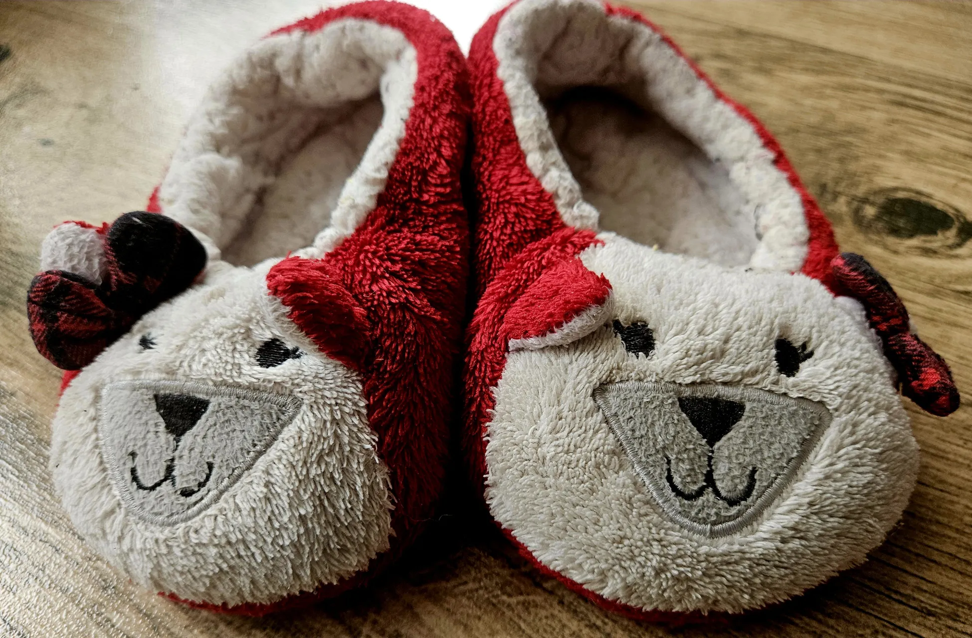 Set Of 2 Pairs Teddy Bear Plush Slippers – Red & Blue, UK1.5