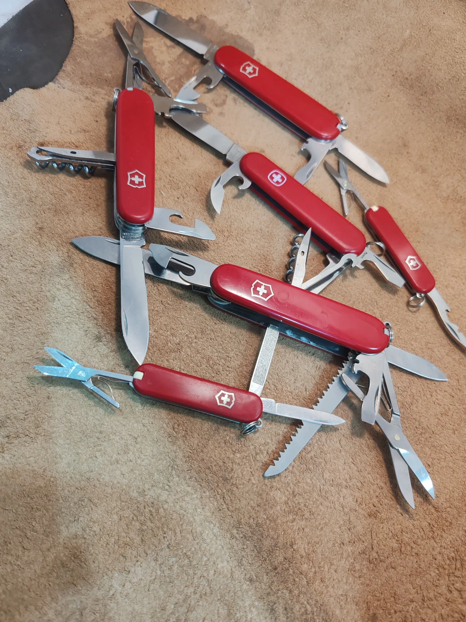 Buy used Victorinox Swiss Army Knife Collector Combo - Huntsman, Spartan, Classic SD, Jetsetter online on Resellpur