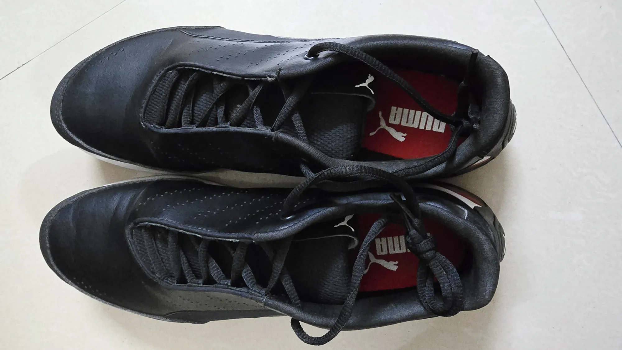 PUMA Unisex-adult UK10 Ferrari Kart Cat X Sneaker