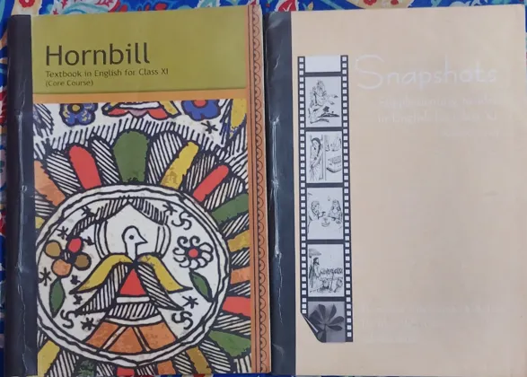 Sandeep Garg Class XI Textbooks Set - Economics, Accounts, English, Maths - Various Editions