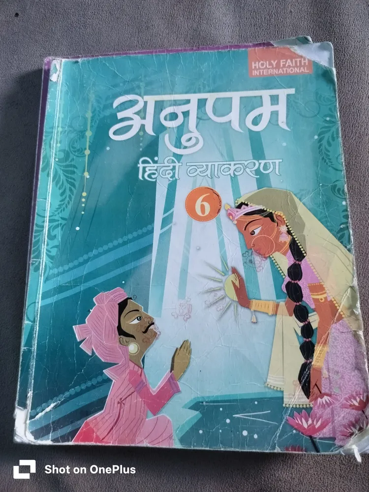 Holy Faith International Hindi Vyakaran Book Hardcover Green 6th Grade