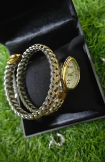 Just Cavalli Women's Gold & Silver Snake Watch With Oval Dial