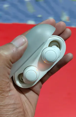 Buy used Sony WF-C500 True Wireless Earbuds White online on Resellpur