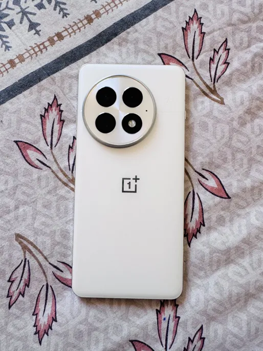 Sold second hand Oneplus 13 512GB 16GB RAM Silver Android Smartphone on Resellpur