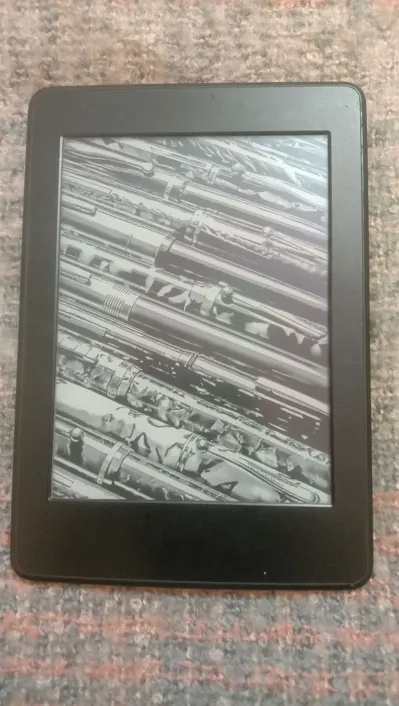 Sold second hand Amazon Paperwhite 7th Generation Kindle on Resellpur