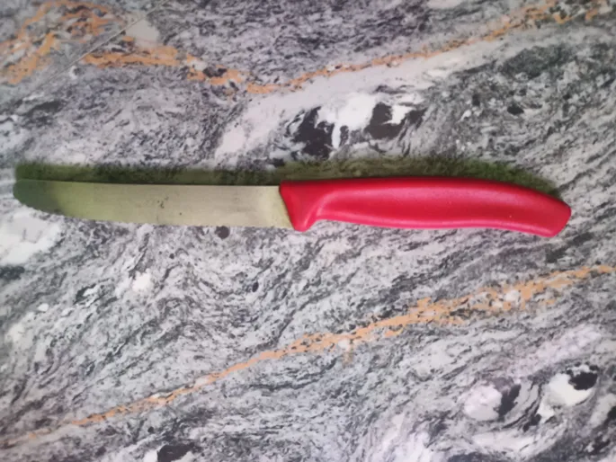 Buy used Victorinox kitchen knife online on Resellpur